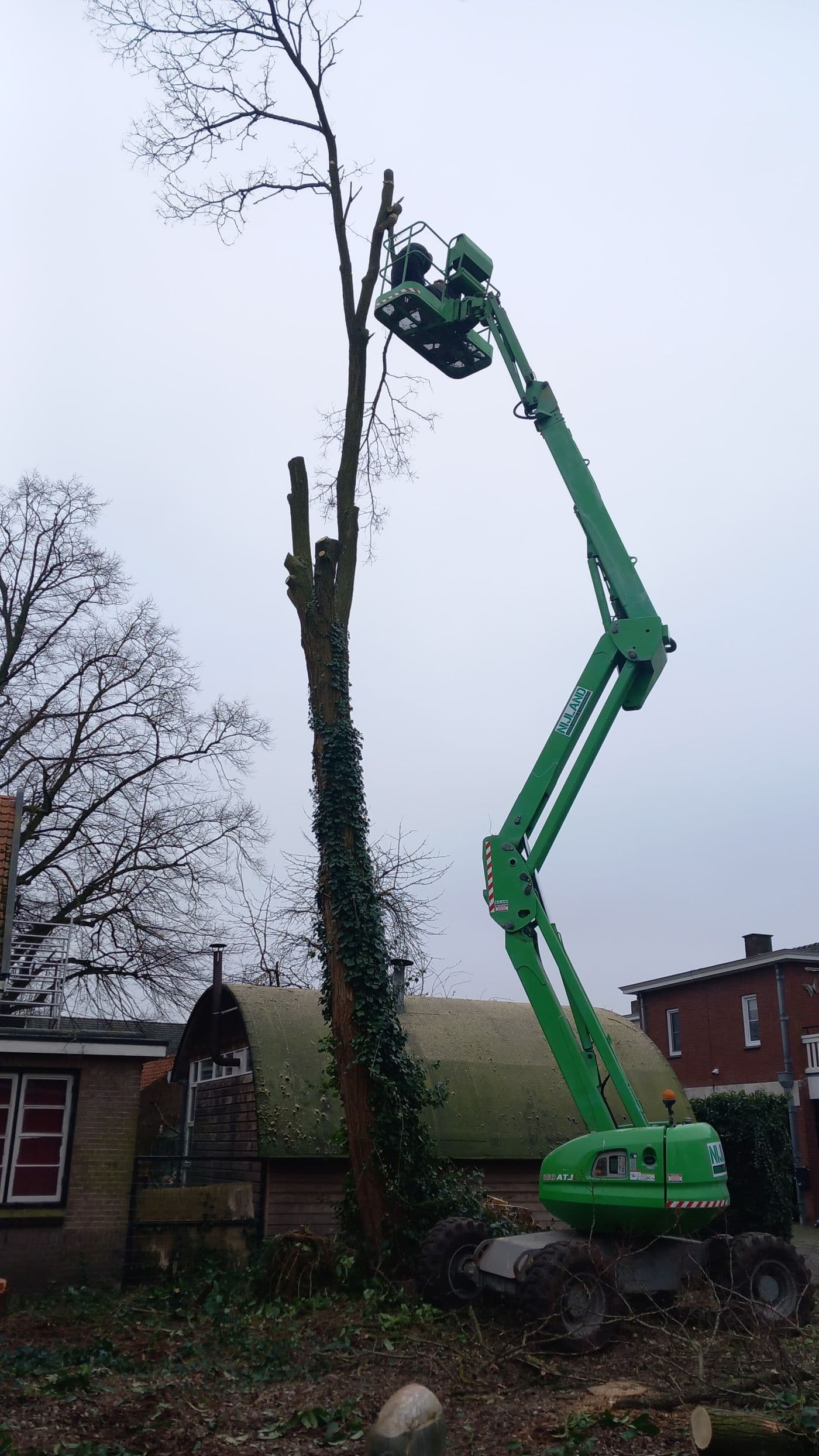 knikarmhoogwerker manitou snoeien